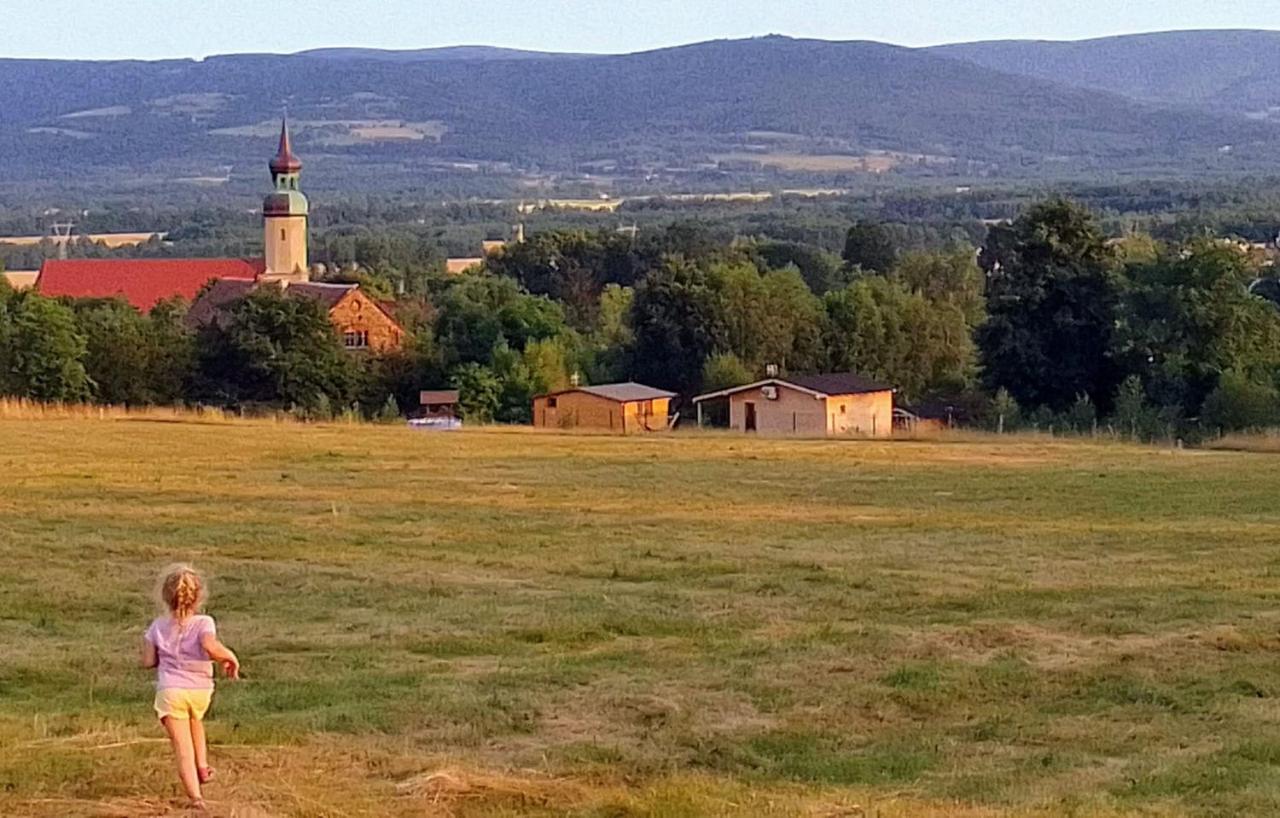Domek W Gorach Izerskich 4 I 6 Osobowy, Agroturystyka, Zywe Zwierzeta, W Pelni Wyposazone, Plac Zabaw Dla Dzieci, Ognisko Z Kijkami I Rusztem, Ogrzewanie I Klimatyzacja, Latem Basen Mirsk Ngoại thất bức ảnh