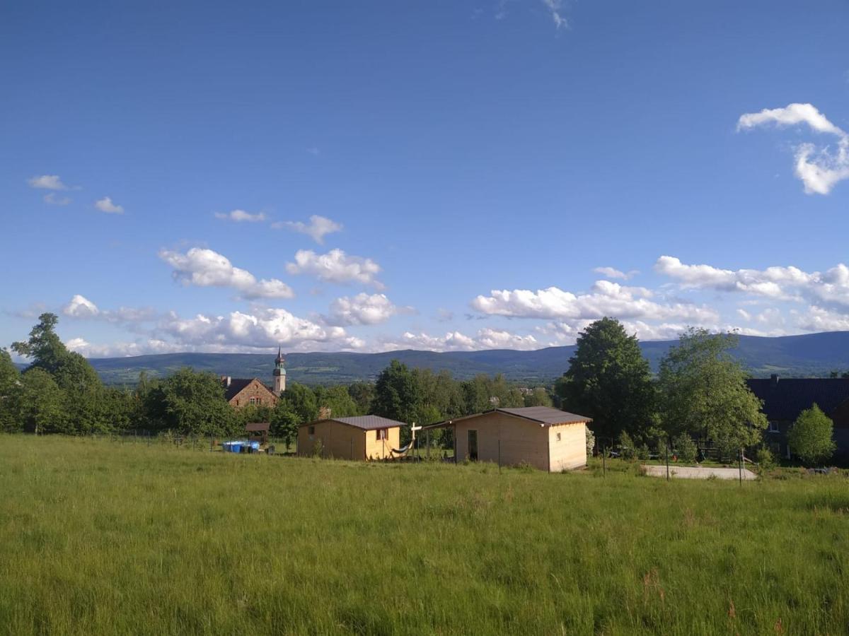 Domek W Gorach Izerskich 4 I 6 Osobowy, Agroturystyka, Zywe Zwierzeta, W Pelni Wyposazone, Plac Zabaw Dla Dzieci, Ognisko Z Kijkami I Rusztem, Ogrzewanie I Klimatyzacja, Latem Basen Mirsk Ngoại thất bức ảnh