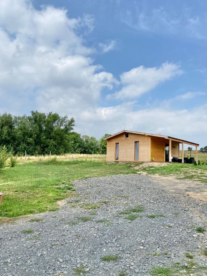 Domek W Gorach Izerskich 4 I 6 Osobowy, Agroturystyka, Zywe Zwierzeta, W Pelni Wyposazone, Plac Zabaw Dla Dzieci, Ognisko Z Kijkami I Rusztem, Ogrzewanie I Klimatyzacja, Latem Basen Mirsk Ngoại thất bức ảnh