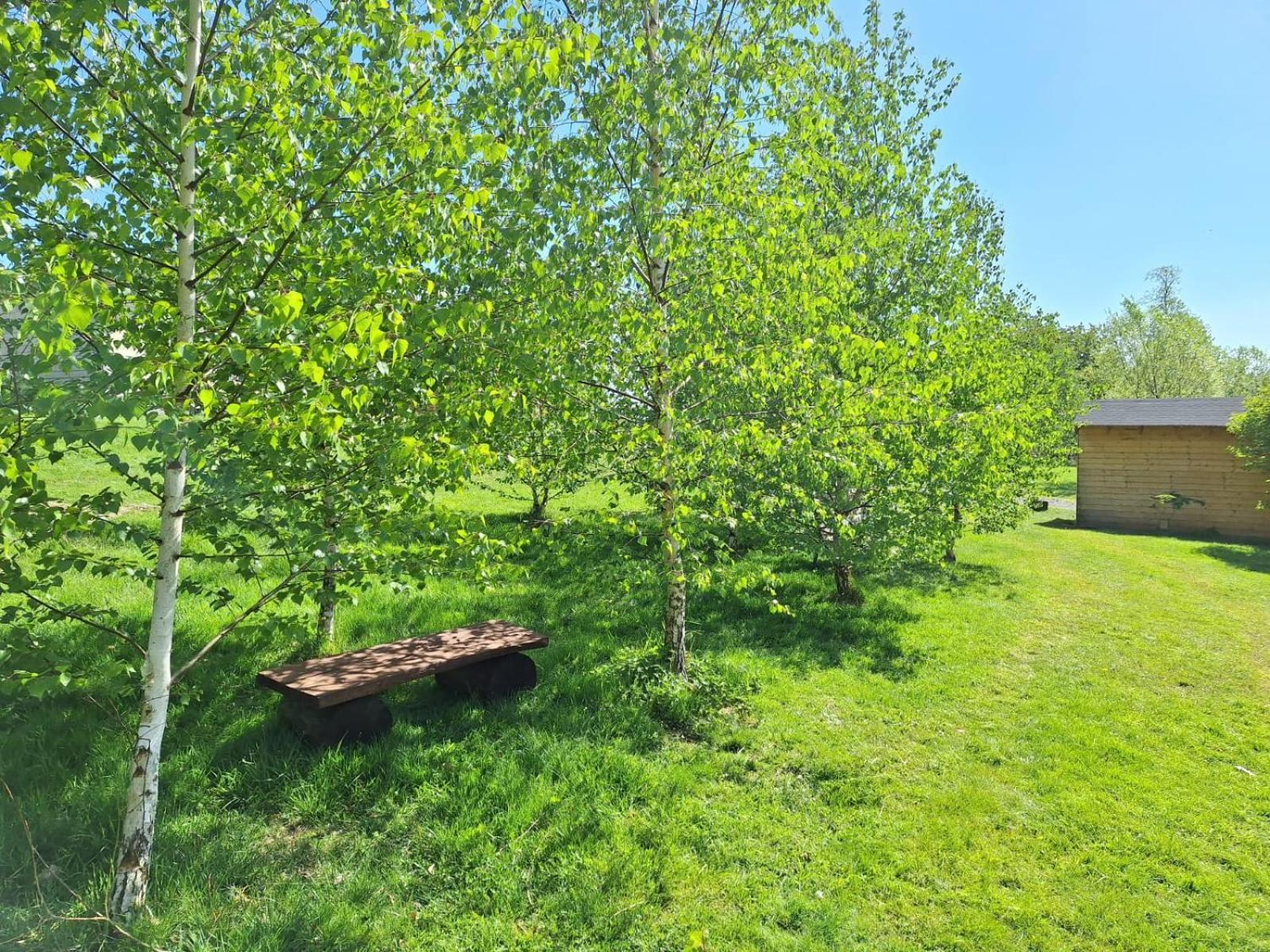 Domek W Gorach Izerskich 4 I 6 Osobowy, Agroturystyka, Zywe Zwierzeta, W Pelni Wyposazone, Plac Zabaw Dla Dzieci, Ognisko Z Kijkami I Rusztem, Ogrzewanie I Klimatyzacja, Latem Basen Mirsk Ngoại thất bức ảnh